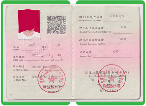 哪里做上海不动产权证高仿?我对比了3种渠道,说点得罪人的实话